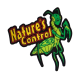 Pest:  Psyllids